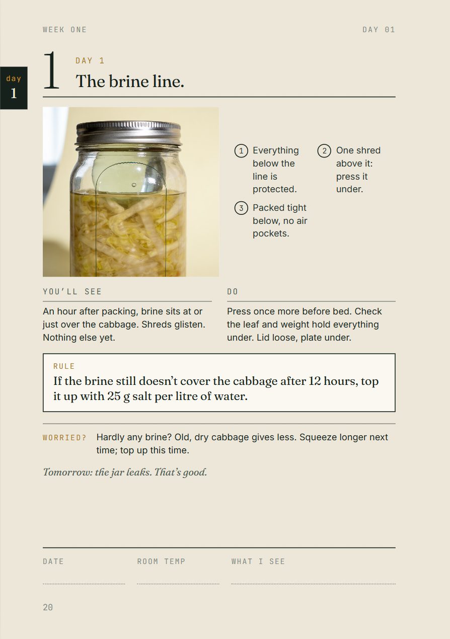 Day 1 page: the brine line, what you'll see, what to do, one rule